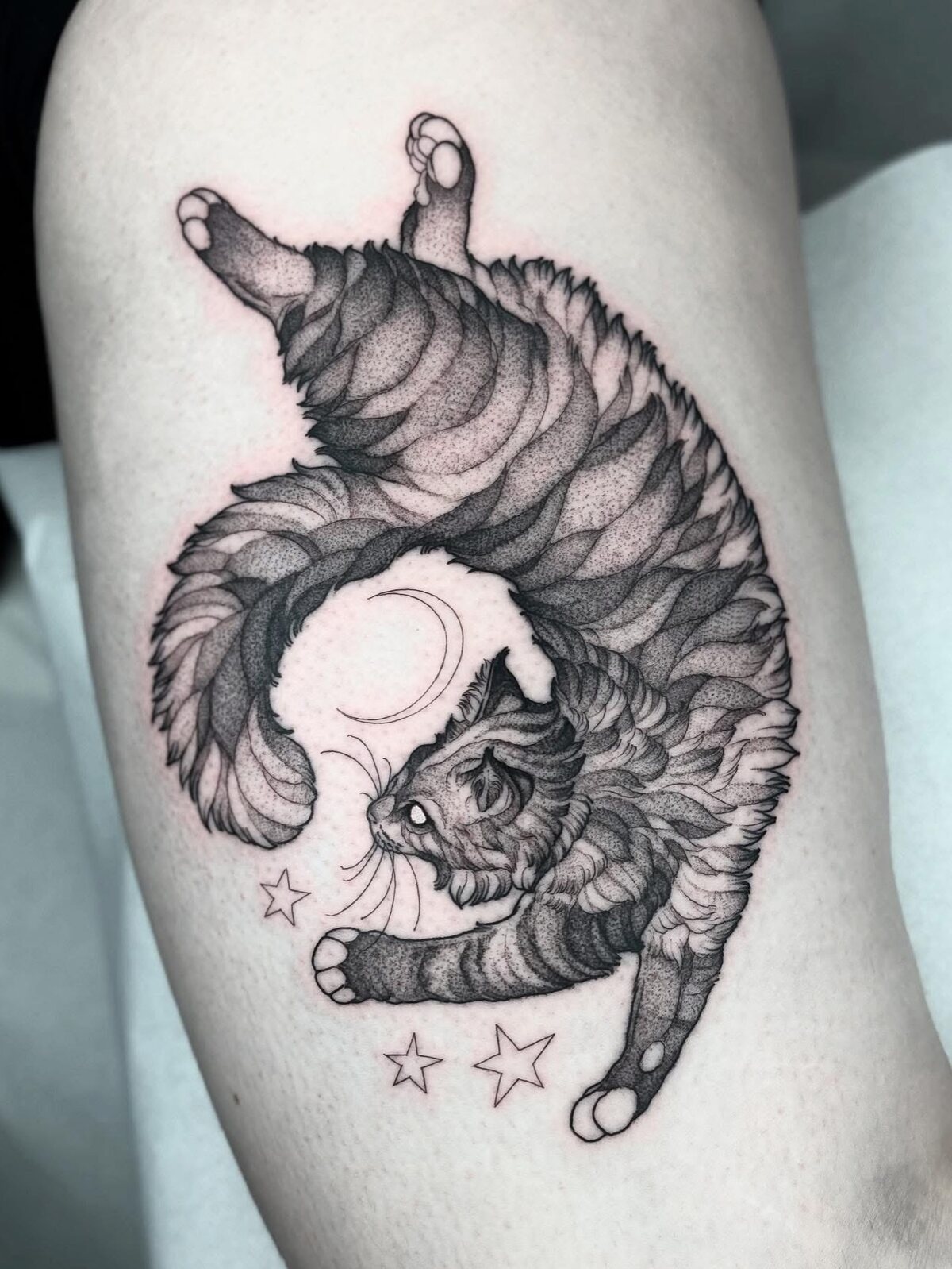 Chat lové, croissant de lune et étoiles, dotwork