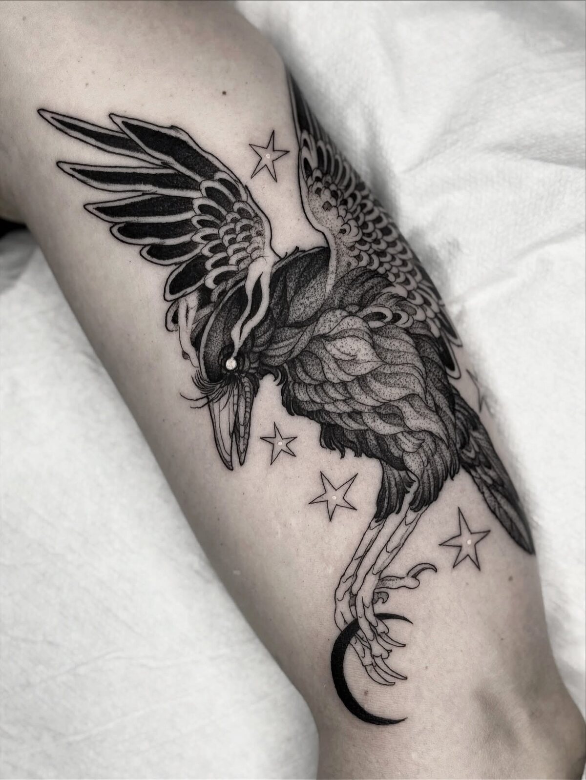 Corbeau aux ailes déployées, étoiles et croissant