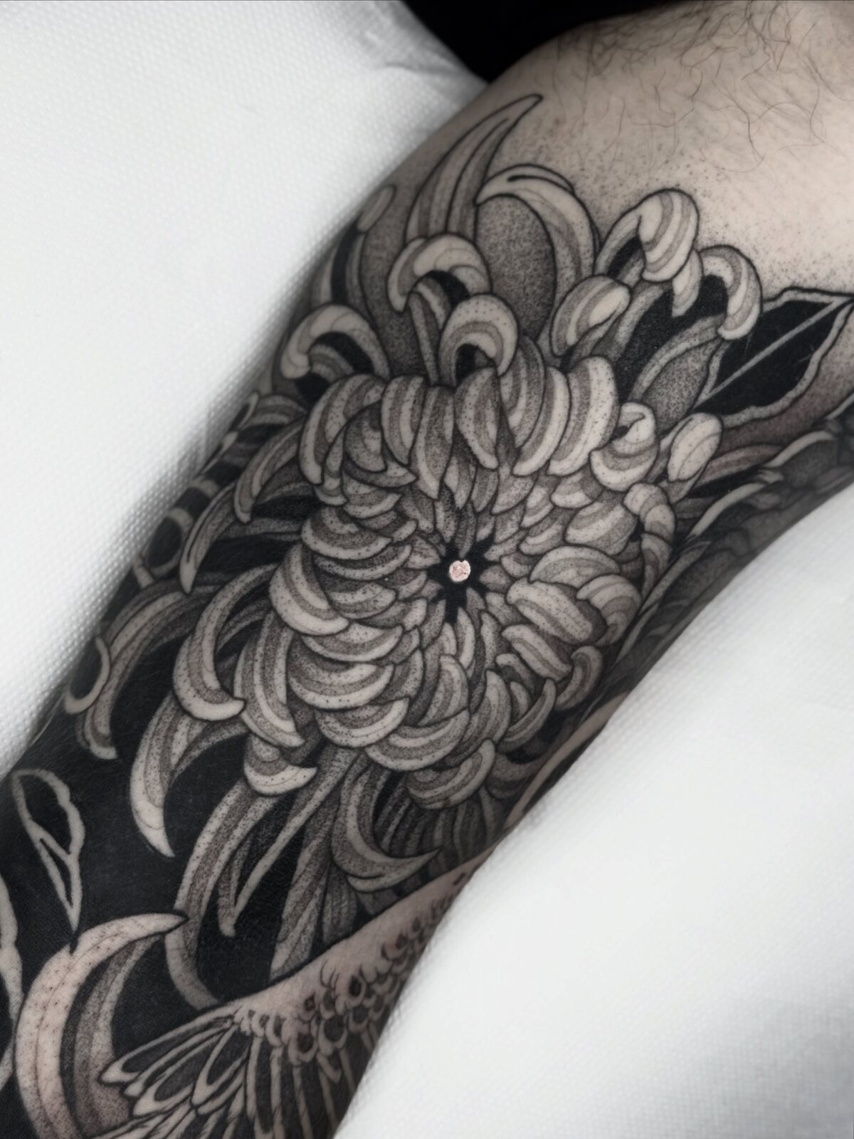Chrysanthème en dotwork sur une manche blackwork